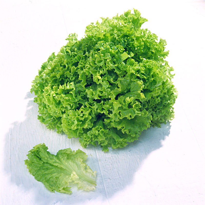 Лола бионда